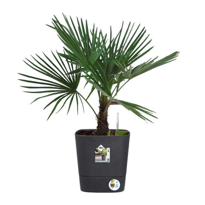 greensense aqua care vierkant 38cm houtskoolgrijs